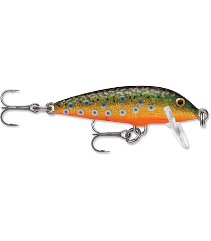 Amazon.com : Rapala Countdown Minnow Lure – 4-3/8